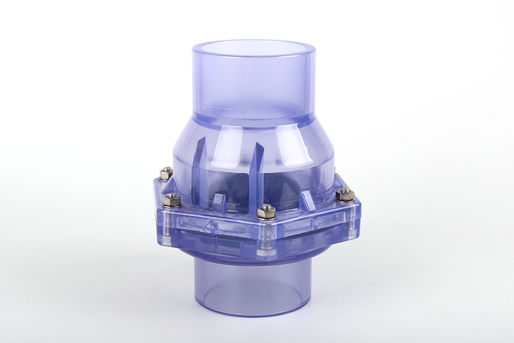 江汉透明翻板式止回阀